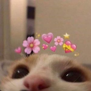 Meet your Posher, Rachael